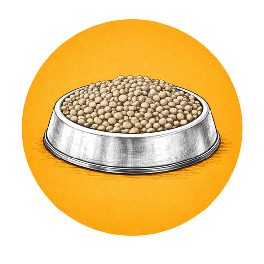 Derfor er riktig hypoallergent fôr avgjørende for hunder med matallergier