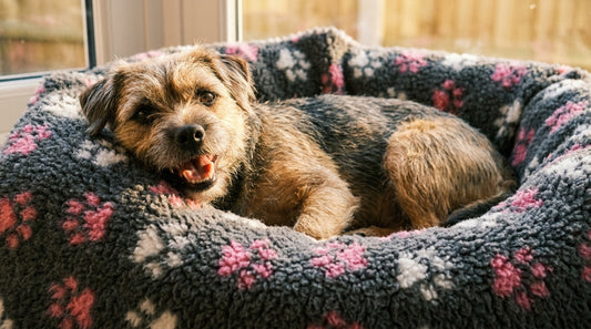 5 tips for Vetbed Duo-Paw Grey with Pink & White Paws