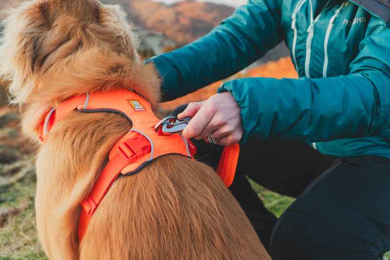 RUFFWEAR Front Range™ Harness Blaze Orange