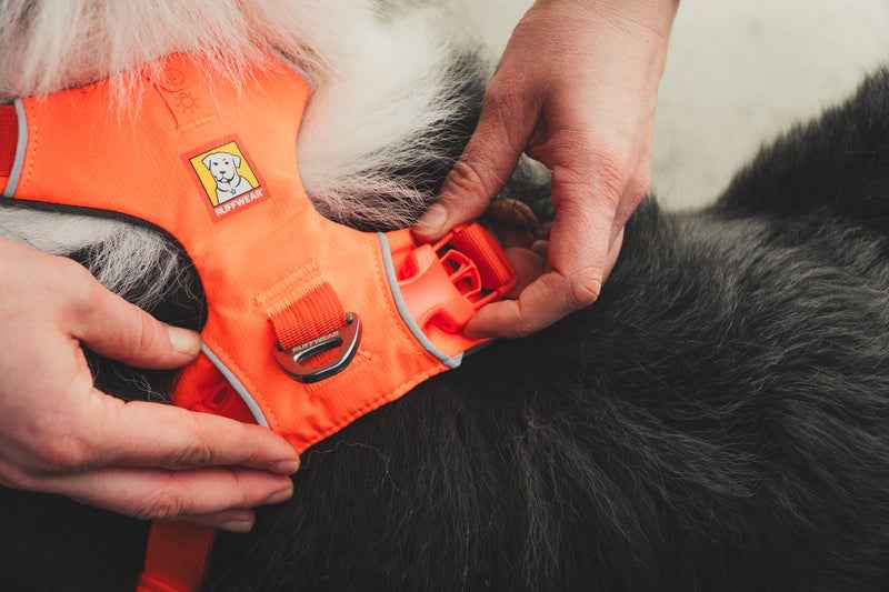 RUFFWEAR Front Range™ Harness Blaze Orange
