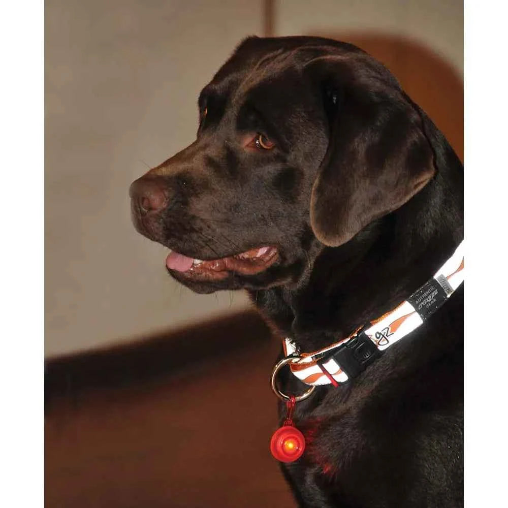 Rogz Blinki Roglite 3cm - K9shop