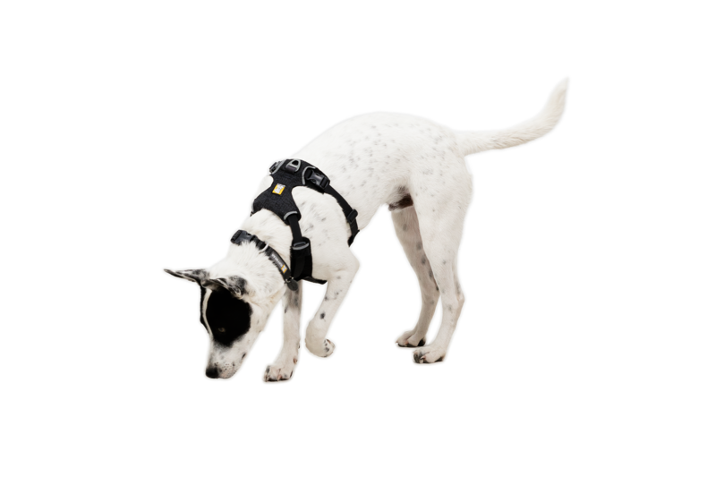 Ruffwear Front Range® Flex Harness Basalt Grey