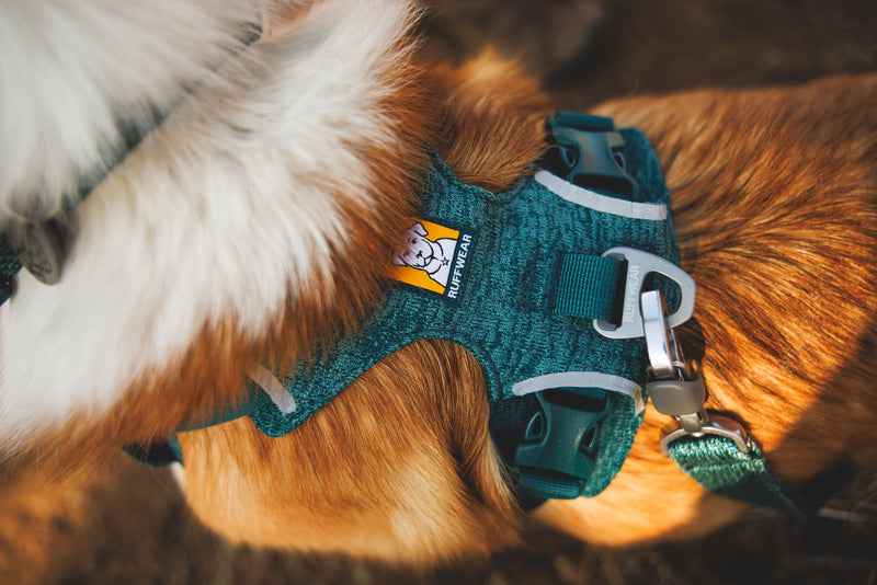 Ruffwear Front Range® Flex Harness Deep Teal