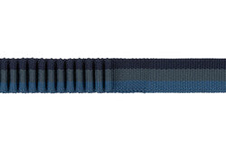RUFFWEAR Roamer™ Leash Orion Blue
